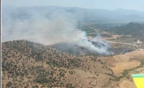 İzmir'de ormana sıçrayan yangın kontrol altında