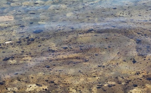 İzmir'de korkutan görüntü, petrol türevi atık sahili kirletti