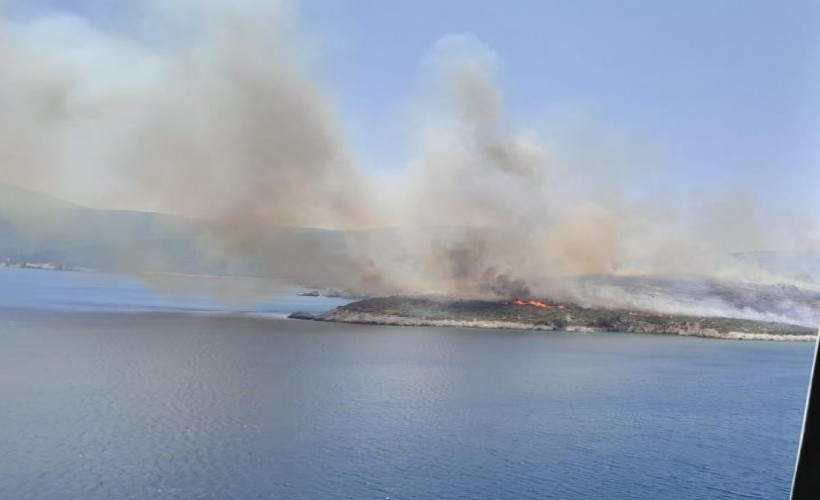 İzmir'de makilik alan yangınında 2 gözaltı