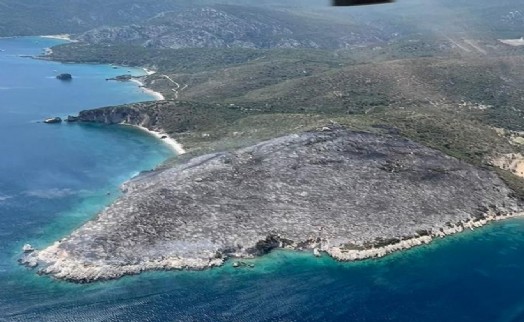 İzmir'de makilik alanda çıkan yangın kontrol altında