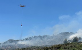 İzmir'de zeytinlikte çıkan yangına havadan ve karadan müdahale