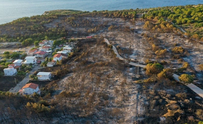 İzmir'deki orman yangınları kontrol altında