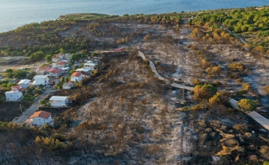 İzmir'deki orman yangınları kontrol altında