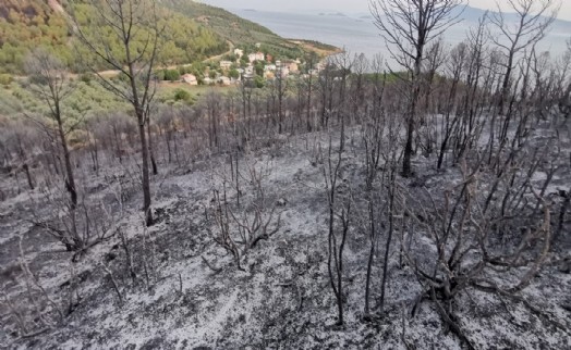 İzmir'deki orman yangınlarında soğutma çalışmaları sürüyor