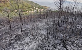 İzmir'deki orman yangınlarında soğutma çalışmaları sürüyor