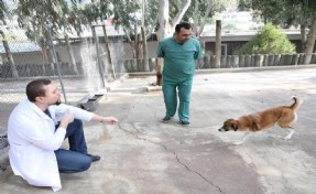 Karşıyaka’nın ampute köpekleri emin ellerde