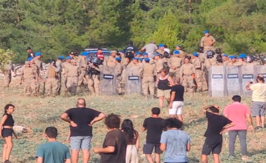 Muğla Valiliğinden 'Akbelen' açıklaması: Kesim tamam!