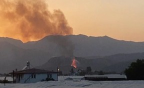 Muğla'da çıkan yangın kontrol altına alındı: Bir kişi gözaltında