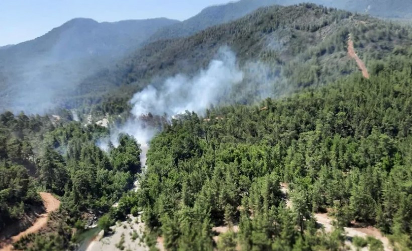 Muğla'da orman yangını: Karadan ve havadan müdahale ediliyor