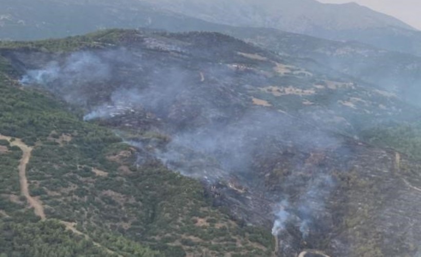 Ödemiş’teki yangın kontrol altına alındı