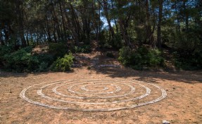 Olivelo Yaşayan Park’ta safari turları yarın başlıyor