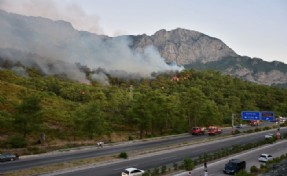 Turizm cenneti Kemer'de orman yangını