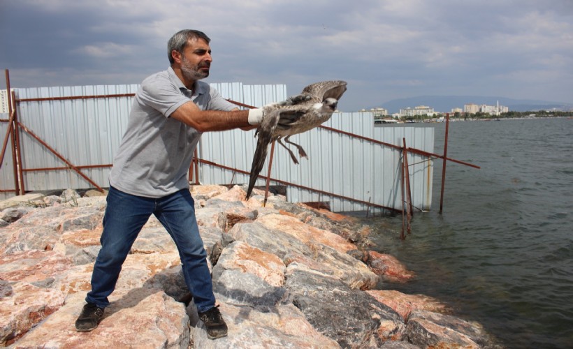 Yorgun martılar Karşıyaka'da emin ellerde!