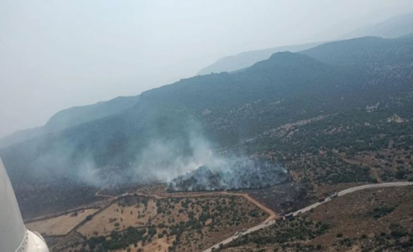 Aliağa’daki orman yangını kontrol altında