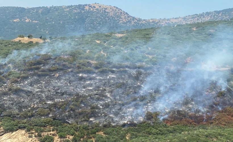 İzmir'deki orman yangını kontrol altında