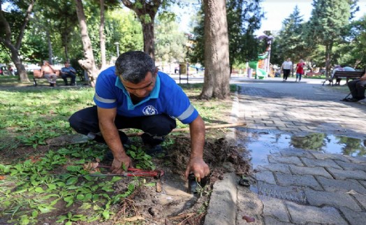 Buca'nın parkları vandalların hedefinde