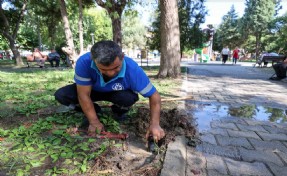 Buca'nın parkları vandalların hedefinde