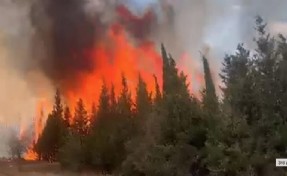 Çanakkale'de çıkan orman yangını kontrol altına alındı