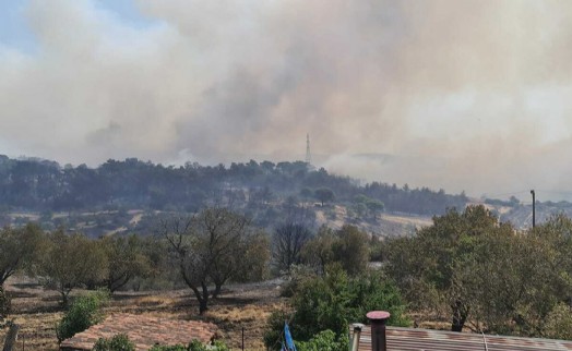 Çanakkale'deki dün başlayan yangın, rüzgarın da etkisiyle sürüyor