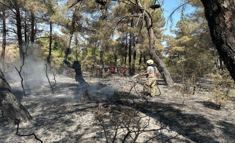 Çanakkale’deki yangına İzmir’den destek