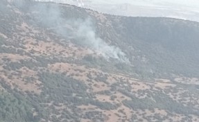 İzmir’de iki ayrı orman yangını kontrol altına alındı