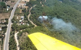 İzmir’de orman yangını büyümeden söndürüldü