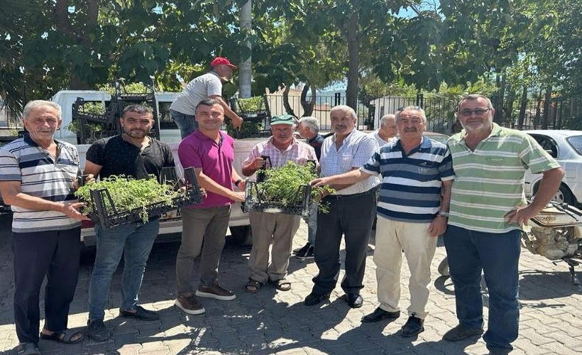 Menderes’te atalık fideler üreticiyle buluştu