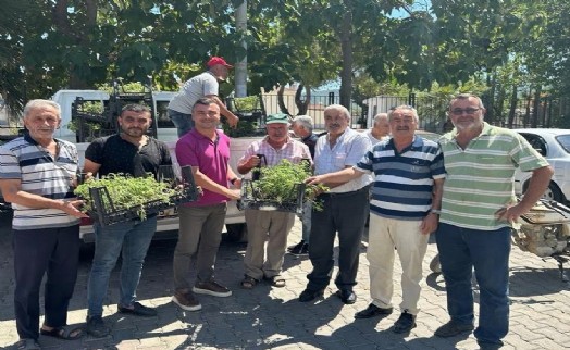 Menderes’te atalık fideler üreticiyle buluştu