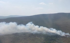 Selçuk’taki orman yangını kontrol altına alındı