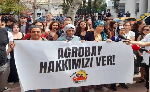 Agrobay yetkilisi Salık'tan skandal açıklama