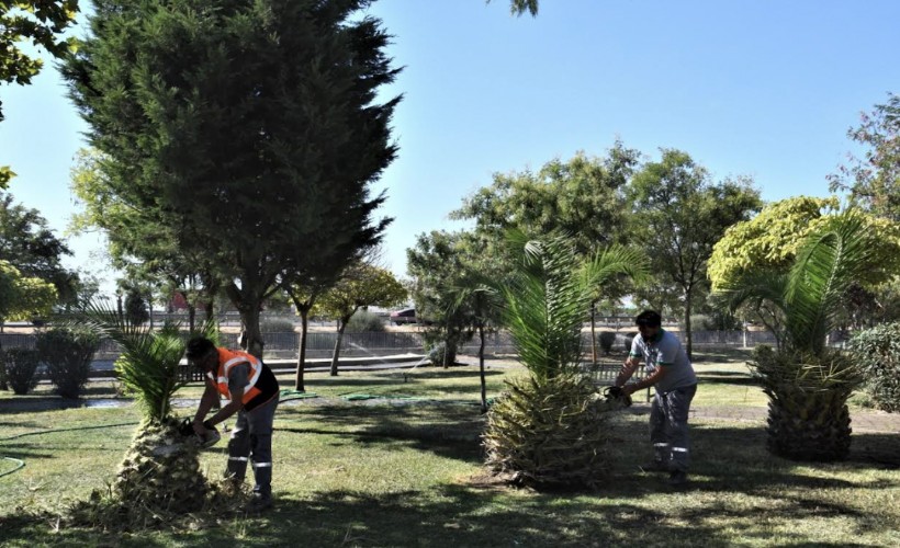 Bornova Belediyesi’nden parklara titiz bakım