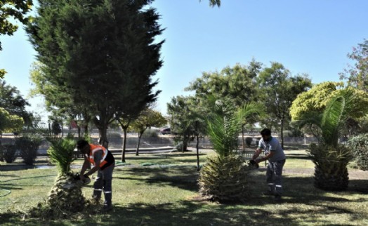 Bornova Belediyesi’nden parklara titiz bakım