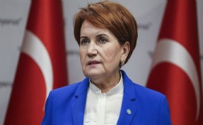 Meral Akşener, Anayasa Mahkemesi'ne başvurdu