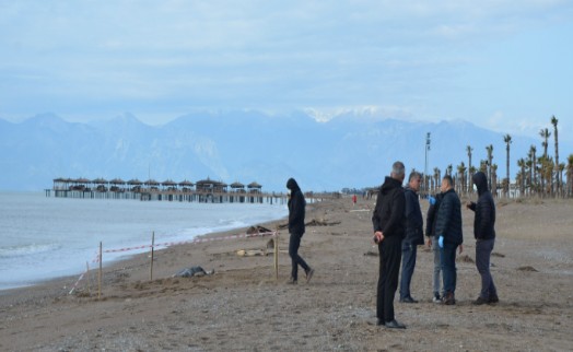 Antalya'da, sahilde 6 günde 8 ceset bulundu