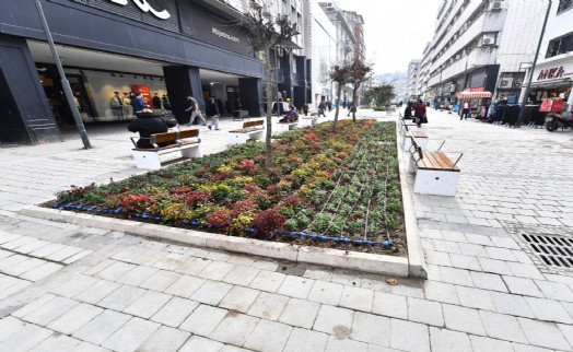 Milli Kütüphane Caddesi çiçek açtı