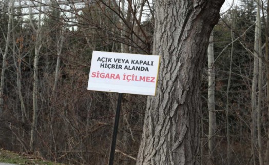 YÖK'ten ‘dumansız hava sahası’ açıklaması