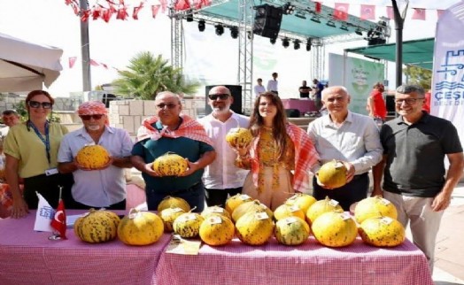 Çeşme'de 9. Ovacık Tarım ve Sakız Koyunu Festivali coşkusu