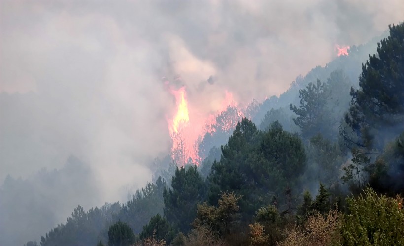 Afyon'da orman yangını