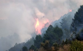 Afyon'da orman yangını