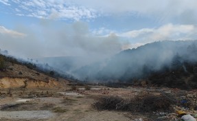 Afyon'daki orman yangını 12,5 saat sonra kontrol altına alındı