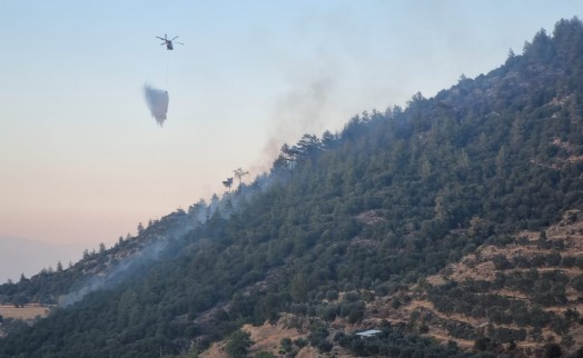 Aydın’da orman yangını 5 saatte söndürüldü; 4,5 hektar alan kül oldu