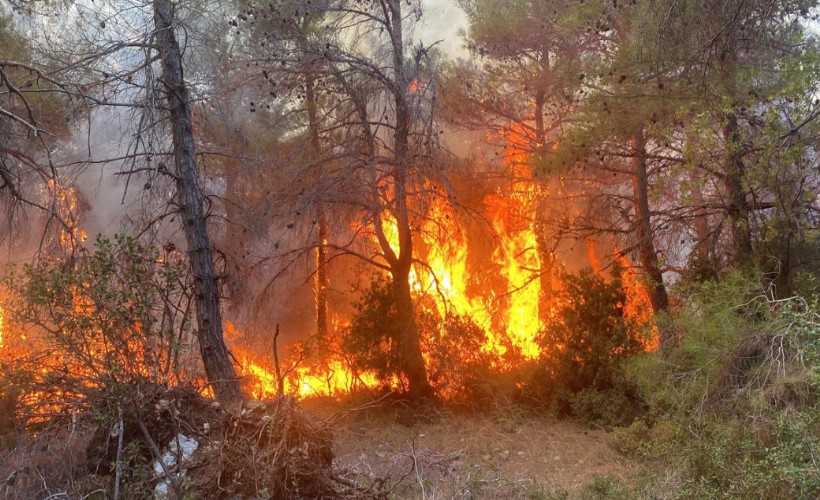 Çanakkale’de orman yangını