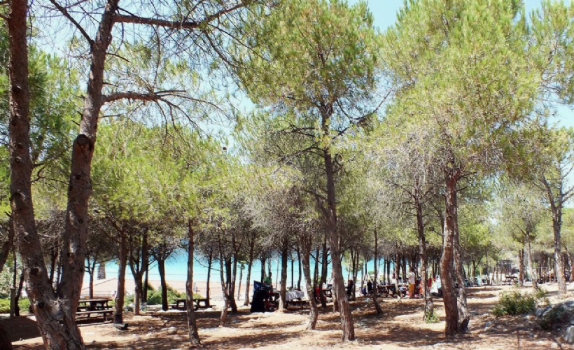 Çeşme Tanay Tabiat Parkı için yeni karar