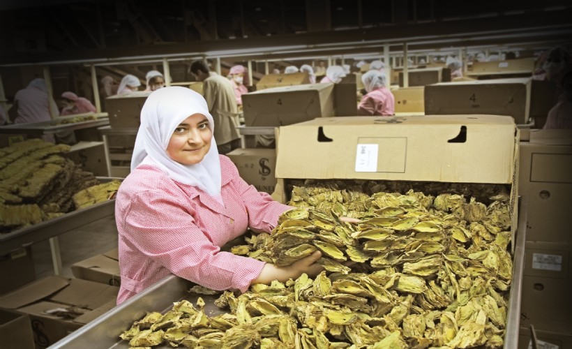 EİB’den tarım ürünleri ihracatı 7,5 milyar doları aştı