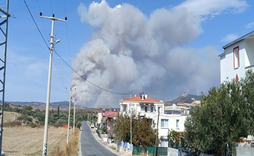 Foça'daki orman yangını kontrol altına alındı