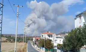 Foça'daki orman yangını kontrol altına alındı