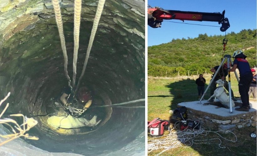 İzmir İtfaiyesi’nden yürekleri ısıtan kurtarma operasyonu