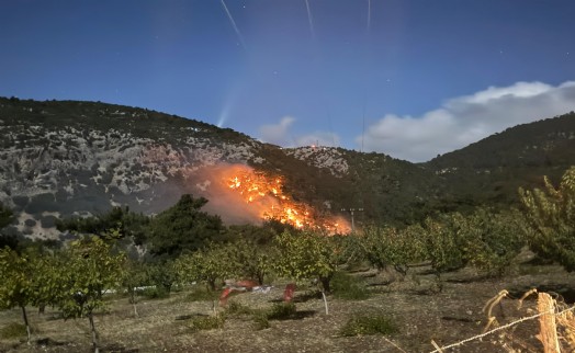 İzmir'de orman yangını 3 saatte kontrol altına alındı