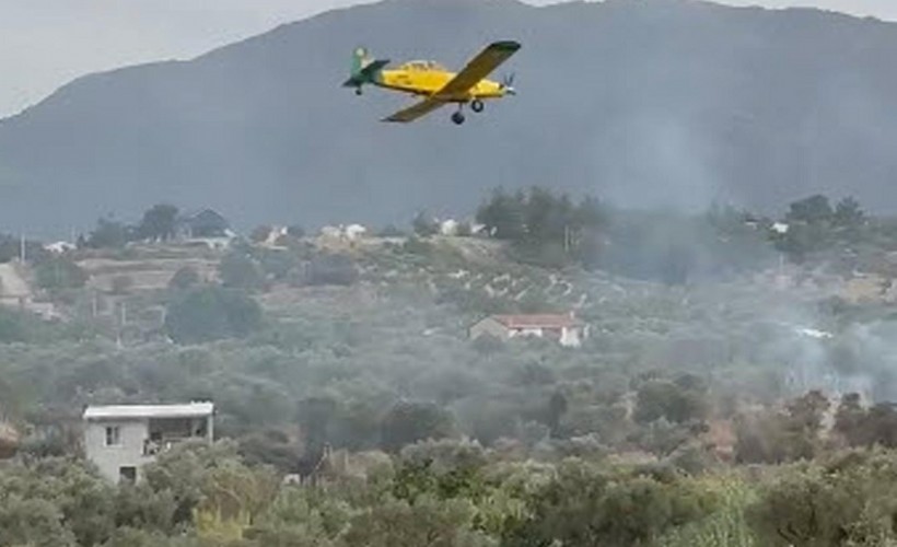 İzmir'de zeytinlikte çıkan yangın söndürüldü