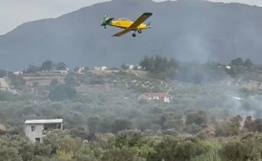 İzmir'de zeytinlikte çıkan yangın söndürüldü